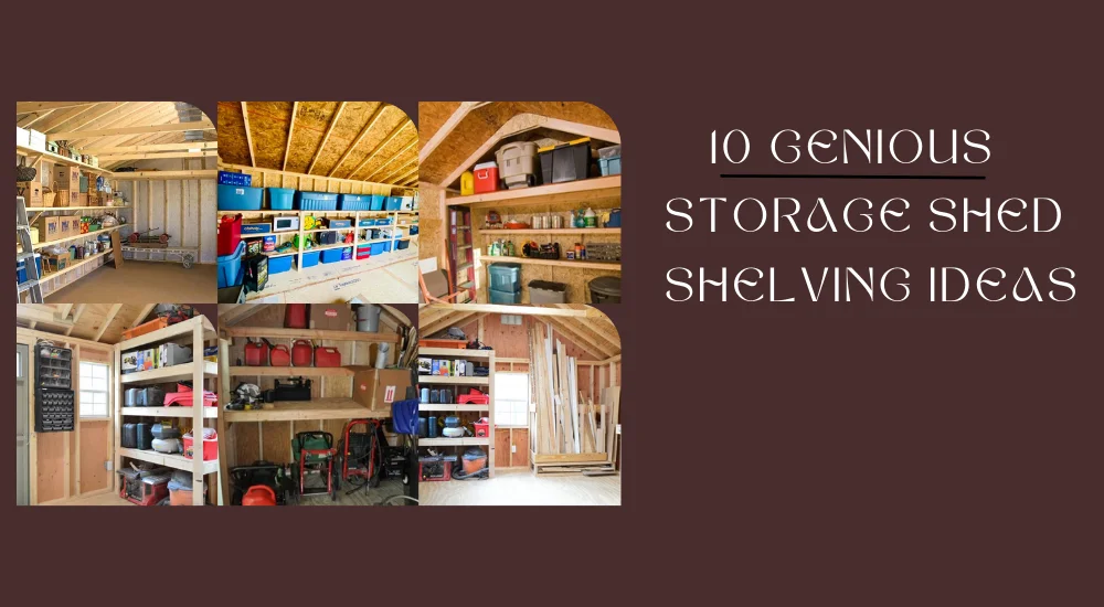 10 Genius Storage Shed Shelving Ideas – You Need to Know